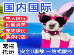 蓬莱机场空运国际宠物托运 【国